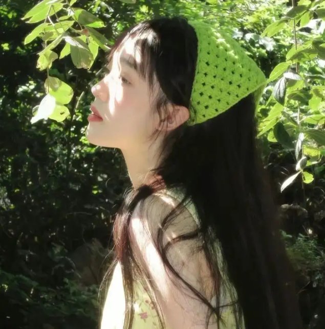 当哈维遇见鲍勃